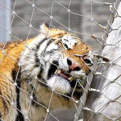 فنس مشبک فولادی ضد زنگ برای باغ وحش، توری طناب سیمی با استحکام بالا