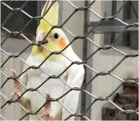 دست بافت گره دار نوع فولاد ضد زنگ شبكه طناب برای حصار حفاظت