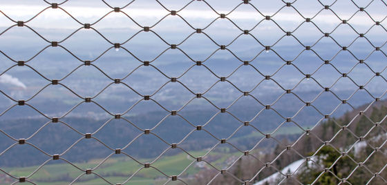 شبكه كابل فولاد ضد زنگ براي معماري الماس صفحه انعطاف پذير باغ وحش پناهگاه حيوانات