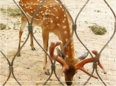 با دست بافته شده انعطاف پذیر فولاد ضد زنگ شبكه طناب با ابعاد مرزی سفارشی برای بالوستراد و باغ وحش